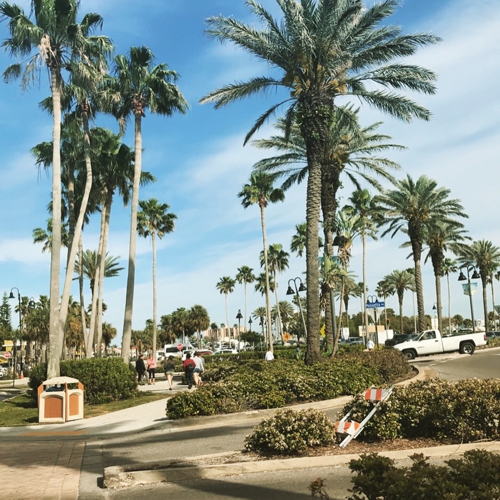 Meet your Posher, Jodi